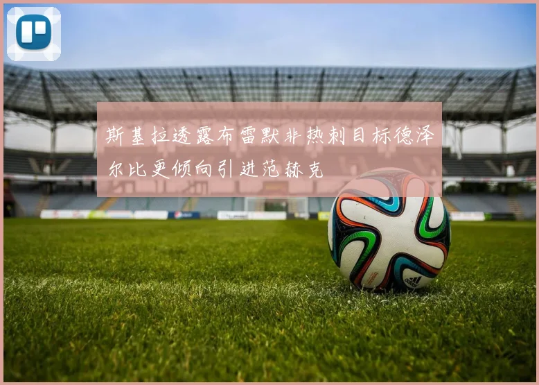 斯基拉透露布雷默非热刺目标德泽尔比更倾向引进范赫克